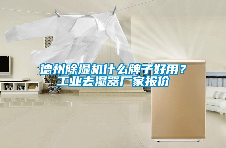 德州除濕機什么牌子好用？工業(yè)去濕器廠家報價