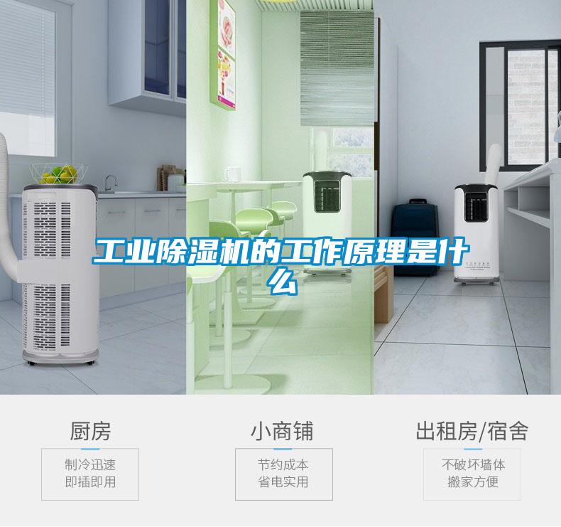 工業除濕機的工作原理是什么