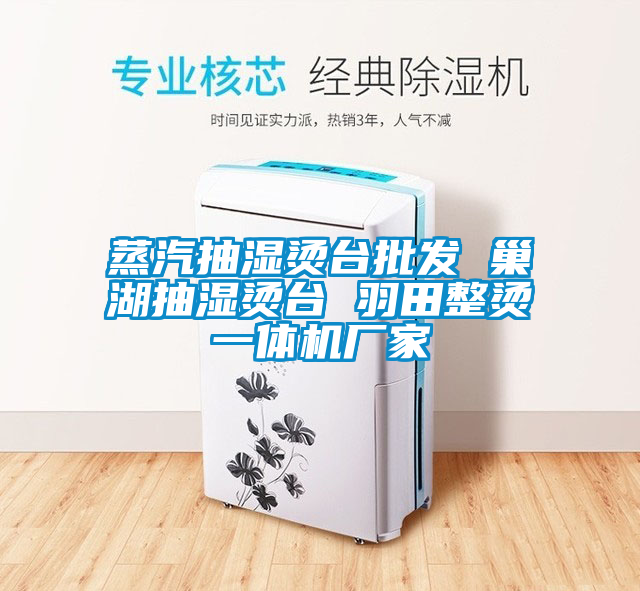蒸汽抽濕燙臺批發 巢湖抽濕燙臺 羽田整燙一體機廠家