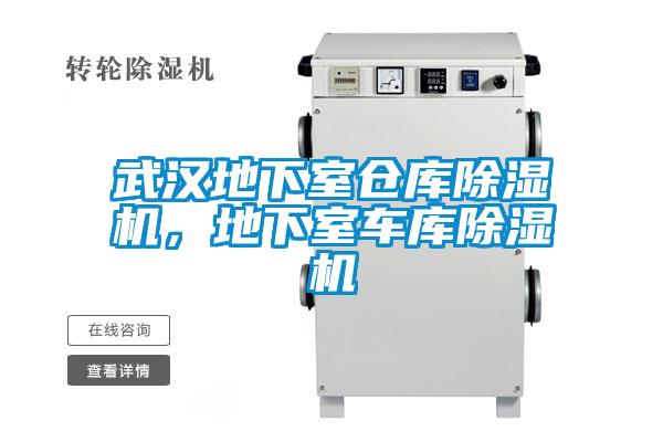 武漢地下室倉(cāng)庫(kù)除濕機(jī)，地下室車庫(kù)除濕機(jī)