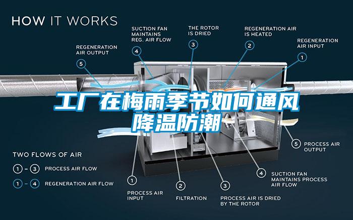 工廠在梅雨季節如何通風降溫防潮