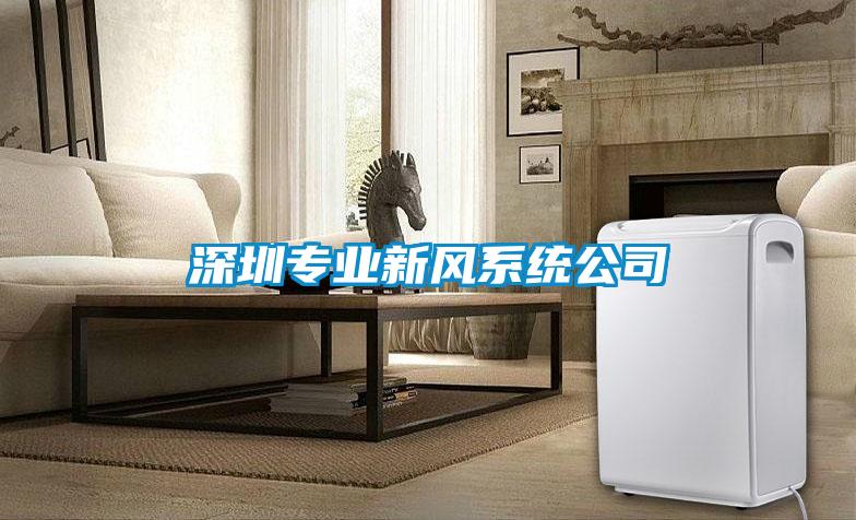 深圳專業新風系統公司