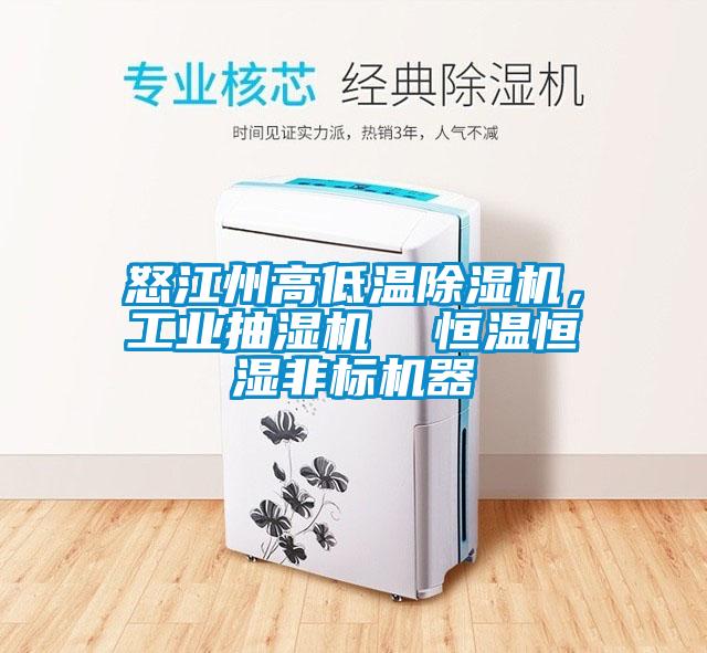 怒江州高低溫除濕機，工業抽濕機  恒溫恒濕非標機器