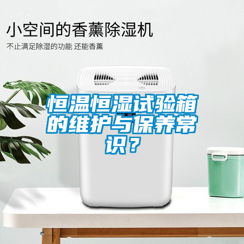 恒溫恒濕試驗箱的維護(hù)與保養(yǎng)常識？