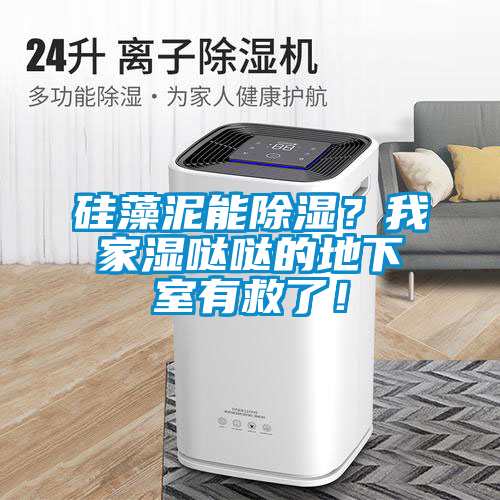 硅藻泥能除濕？我家濕噠噠的地下室有救了！