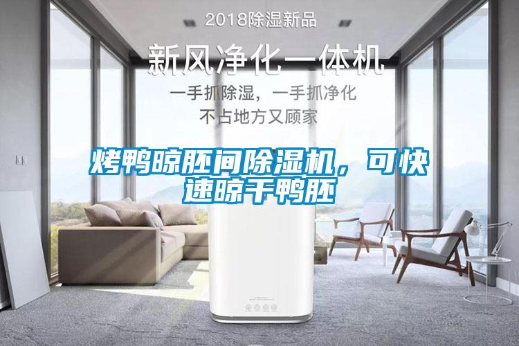 烤鴨晾胚間除濕機，可快速晾干鴨胚