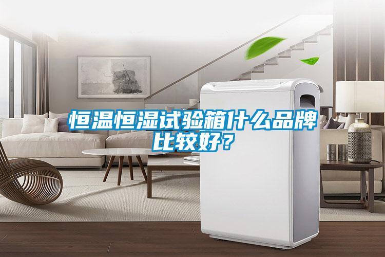 恒溫恒濕試驗箱什么品牌比較好？