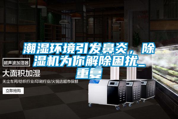 潮濕環(huán)境引發(fā)鼻炎，除濕機(jī)為你解除困擾_重復(fù)