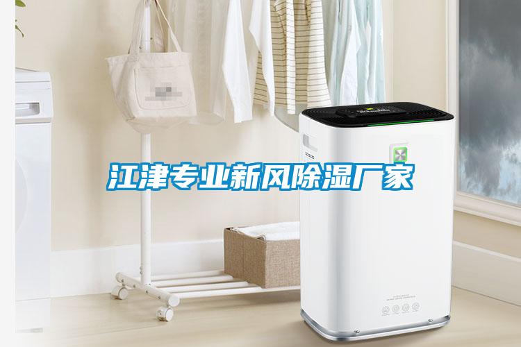 江津?qū)I(yè)新風除濕廠家