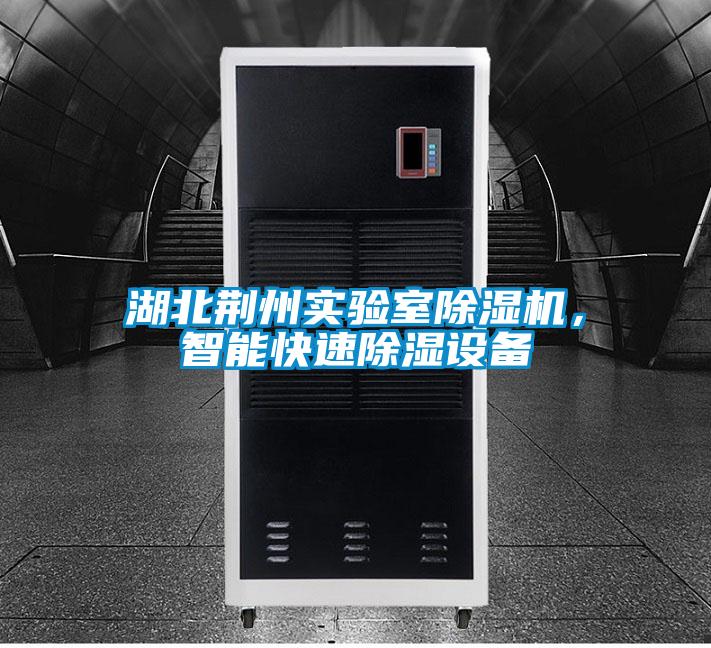 湖北荊州實驗室除濕機(jī)，智能快速除濕設(shè)備