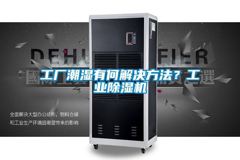 工廠潮濕有何解決方法？工業除濕機