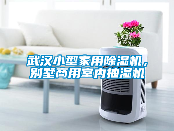 武漢小型家用除濕機，別墅商用室內抽濕機
