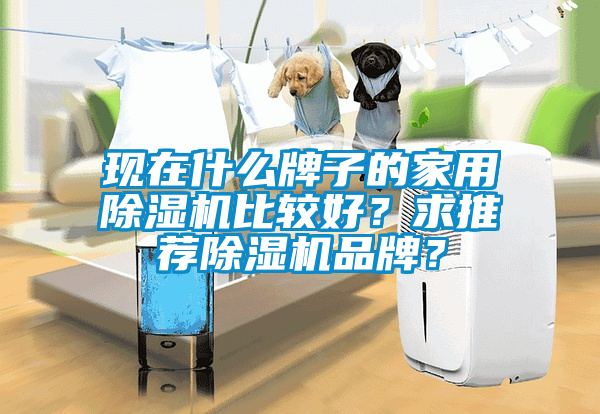 現在什么牌子的家用除濕機比較好？求推薦除濕機品牌？