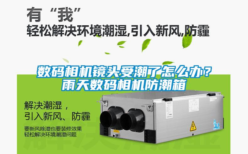 數碼相機鏡頭受潮了怎么辦？雨天數碼相機防潮箱