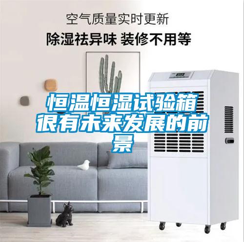 恒溫恒濕試驗箱很有未來發展的前景