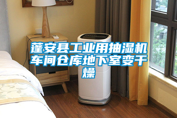 蓬安縣工業用抽濕機車間倉庫地下室變干燥