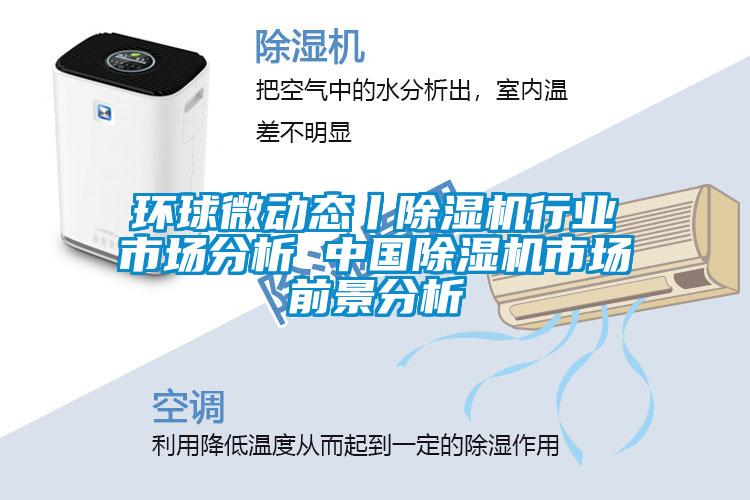 環球微動態丨除濕機行業市場分析 中國除濕機市場前景分析