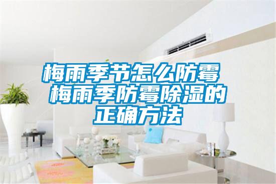 梅雨季節怎么防霉 梅雨季防霉除濕的正確方法