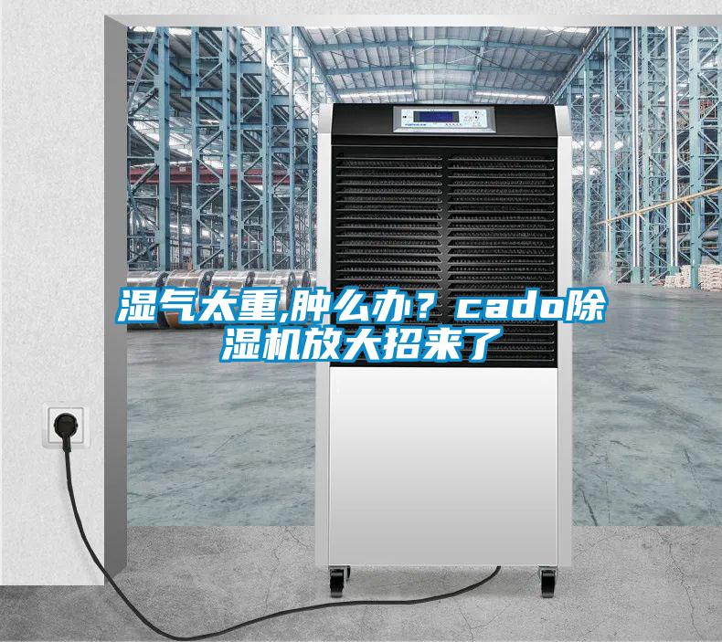 濕氣太重,腫么辦？cado除濕機(jī)放大招來(lái)了