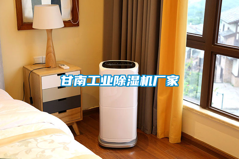 甘南工業除濕機廠家