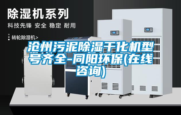 滄州污泥除濕干化機型號齊全-同陽環保(在線咨詢)