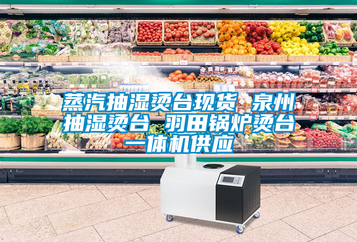蒸汽抽濕燙臺現貨 泉州抽濕燙臺 羽田鍋爐燙臺一體機供應