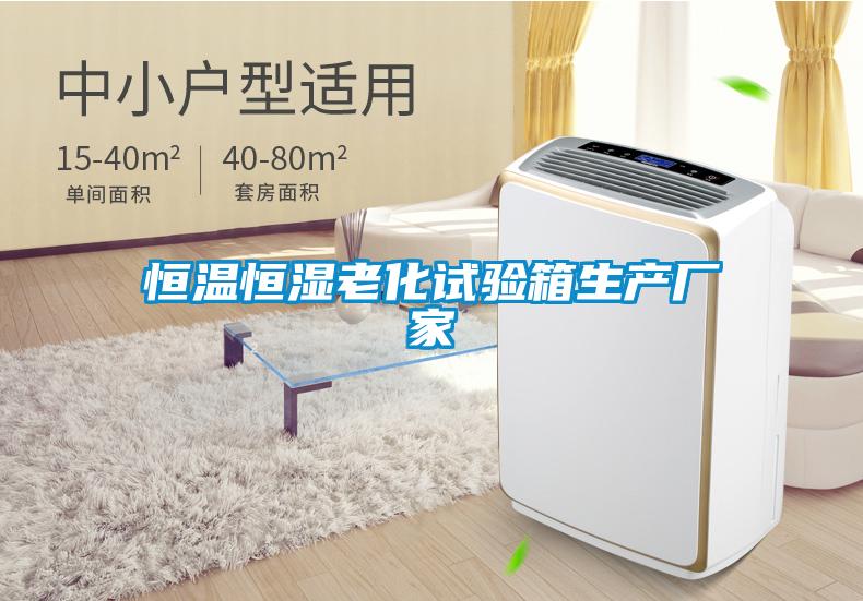 恒溫恒濕老化試驗箱生產廠家