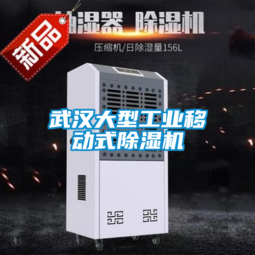 武漢大型工業移動式除濕機