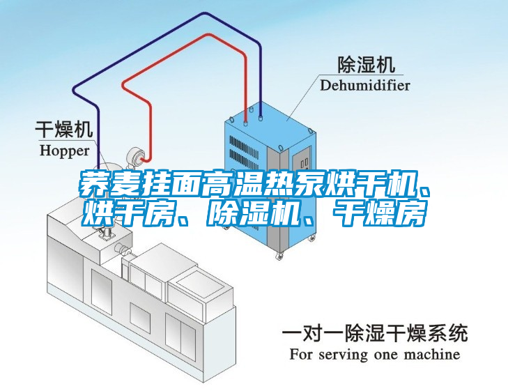 蕎麥掛面高溫熱泵烘干機、烘干房、除濕機、干燥房