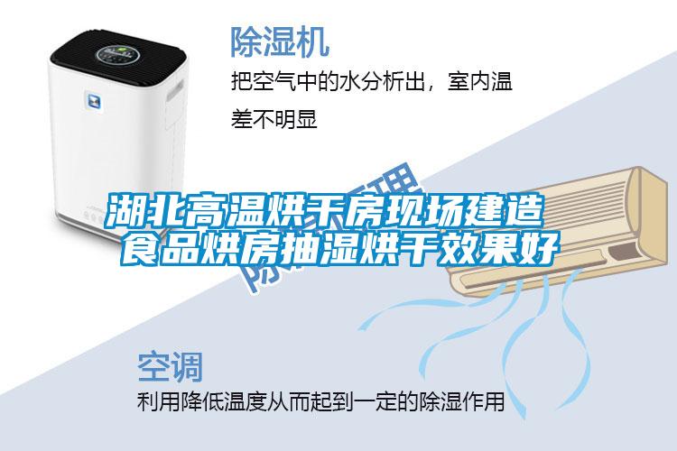 湖北高溫烘干房現場建造 食品烘房抽濕烘干效果好