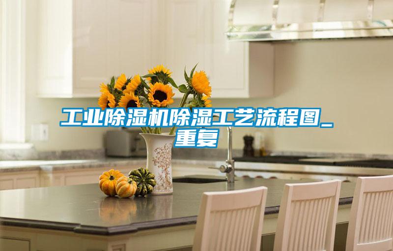 工業除濕機除濕工藝流程圖_重復