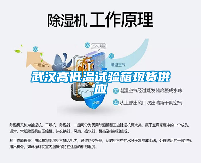 武漢高低溫試驗箱現貨供應