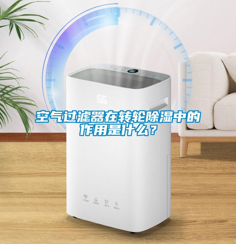 空氣過濾器在轉輪除濕中的作用是什么？
