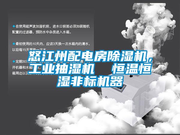 怒江州配電房除濕機，工業抽濕機  恒溫恒濕非標機器