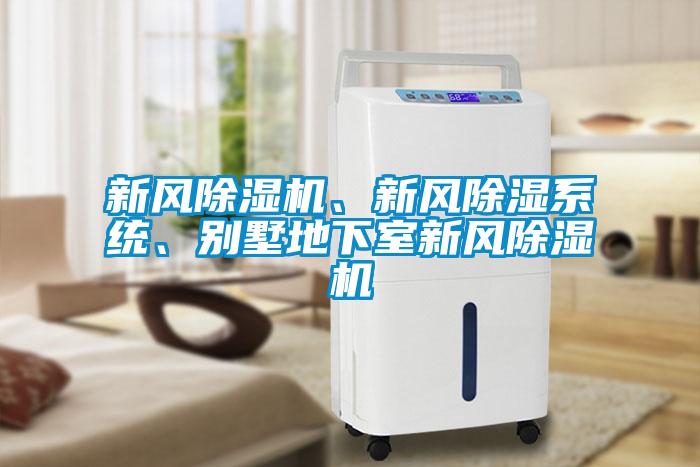 新風(fēng)除濕機(jī)、新風(fēng)除濕系統(tǒng)、別墅地下室新風(fēng)除濕機(jī)