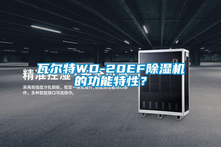 瓦爾特WD-20EF除濕機(jī)的功能特性？