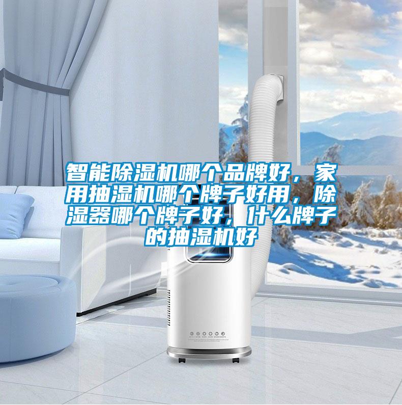 智能除濕機(jī)哪個(gè)品牌好，家用抽濕機(jī)哪個(gè)牌子好用，除濕器哪個(gè)牌子好，什么牌子的抽濕機(jī)好