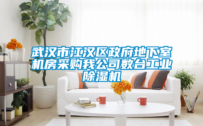 武漢市江漢區(qū)政府地下室機(jī)房采購我公司數(shù)臺(tái)工業(yè)除濕機(jī)