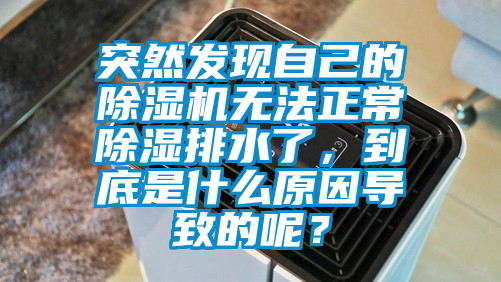 突然發(fā)現(xiàn)自己的除濕機(jī)無法正常除濕排水了，到底是什么原因?qū)е碌哪兀?/></p>
						    <p style=