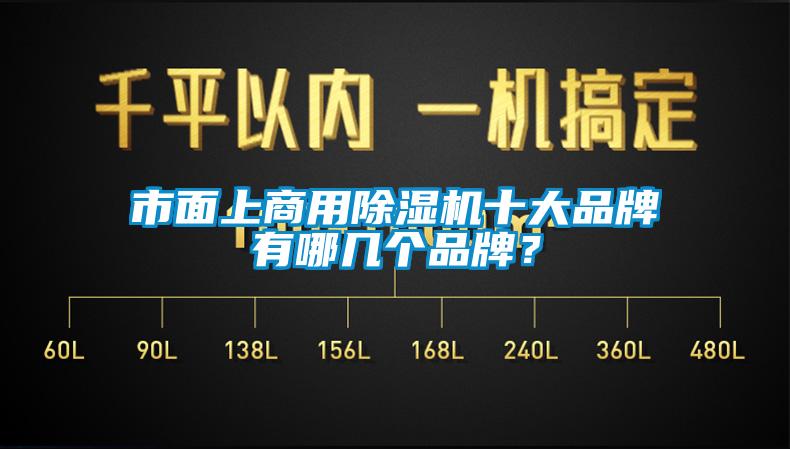 市面上商用除濕機(jī)十大品牌有哪幾個(gè)品牌？