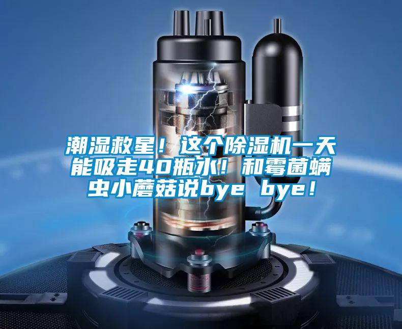 潮濕救星！這個除濕機一天能吸走40瓶水！和霉菌螨蟲小蘑菇說bye bye！