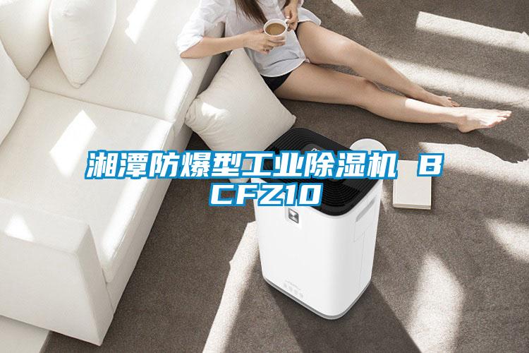 湘潭防爆型工業除濕機 BCFZ10