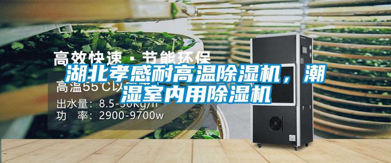 湖北孝感耐高溫除濕機，潮濕室內用除濕機