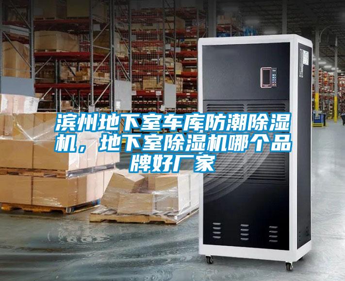 濱州地下室車庫防潮除濕機，地下室除濕機哪個品牌好廠家