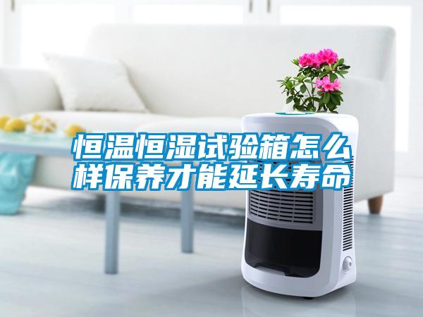 恒溫恒濕試驗箱怎么樣保養才能延長壽命