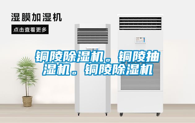 銅陵除濕機。銅陵抽濕機。銅陵除濕機
