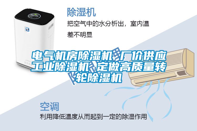 電氣機房除濕機 廠價供應工業除濕機 定做高質量轉輪除濕機