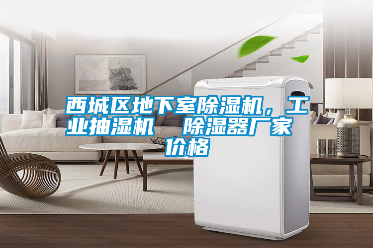 西城區地下室除濕機，工業抽濕機  除濕器廠家 價格
