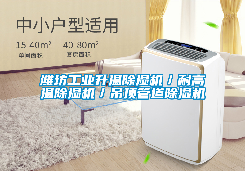 濰坊工業升溫除濕機／耐高溫除濕機／吊頂管道除濕機