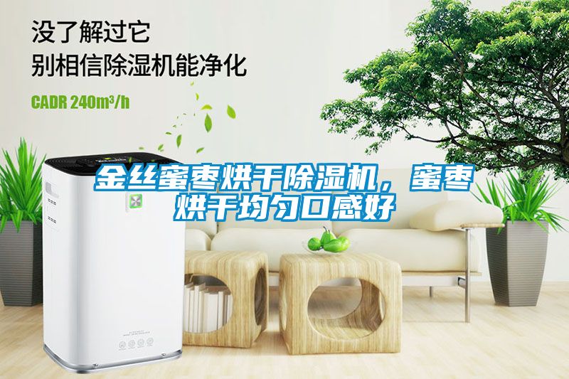 金絲蜜棗烘干除濕機，蜜棗烘干均勻口感好